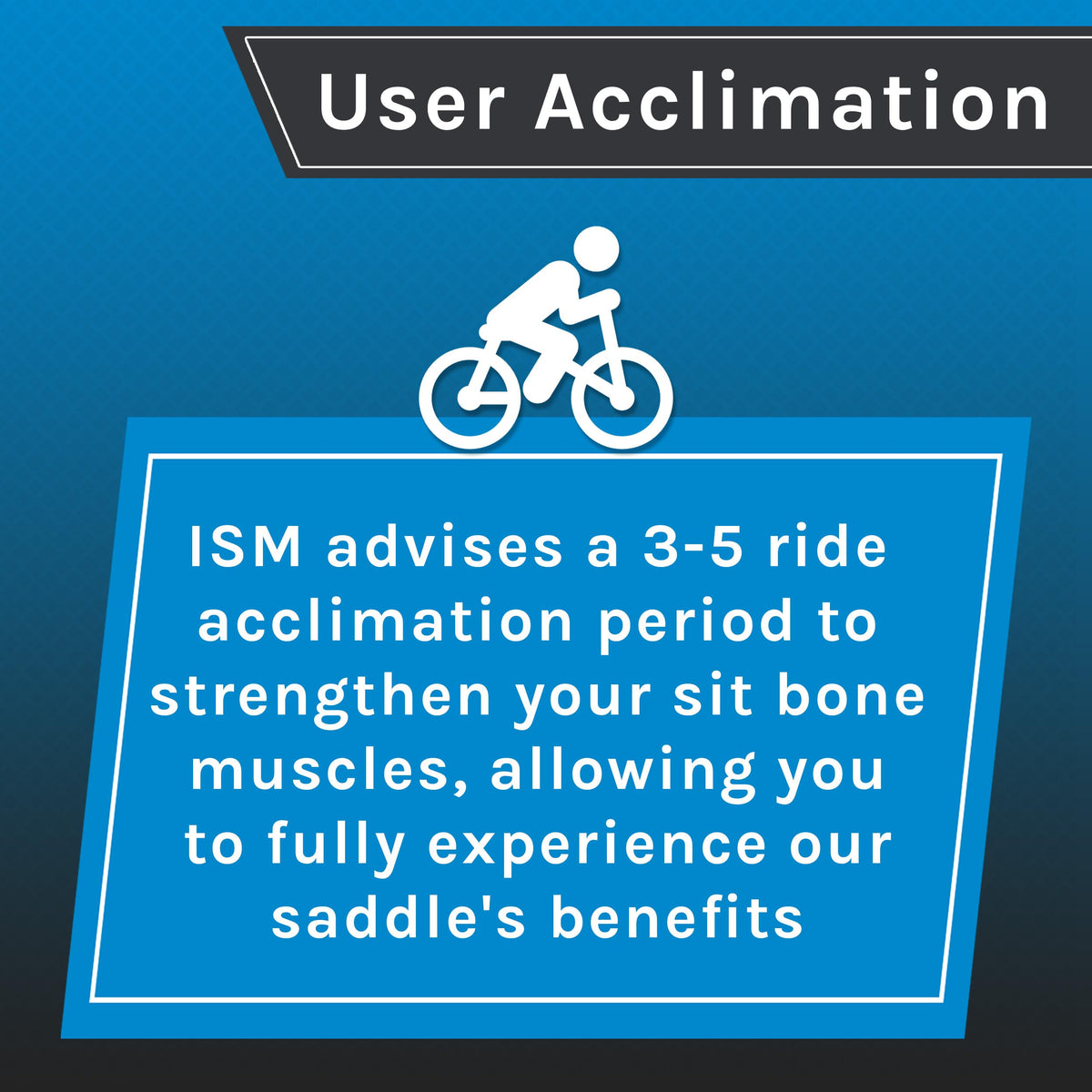 ISM PN Series Padded Noseless Performance Road Bike Saddle